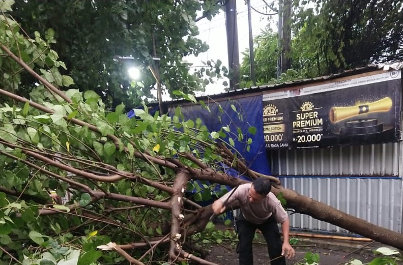 Pohon Tumbang Tutup Jalan di Lombok Barat, Personel Polsek Labuapi Sigap Evakuasi