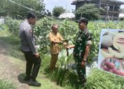 Bersama Danramill Seteluk, Polsek Seteluk Bangun Koordinasi dengan BPP Kecamatan Seteluk