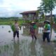 Bhabinkamtibmas Desa Doromelo Gelar Silaturrahmi dan Sosialisasi Program Ketahanan Pangan Nasional