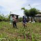 Bhabinkamtibmas Desa Hu’u Pantau Lahan Jagung untuk Dukung Ketahanan Pangan Nasional